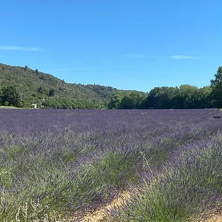 Le Petit Paradis Provencal Allemagne-en-Provence